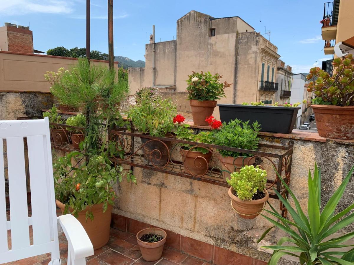 Notaria-Apartamento Y Estudio En Casco Antiguo, Al Lado De Playa, Rambla Y Monasterio, Con Acceso A Terraza Ajardinada Sant Feliu de Guíxols Dış mekan fotoğraf