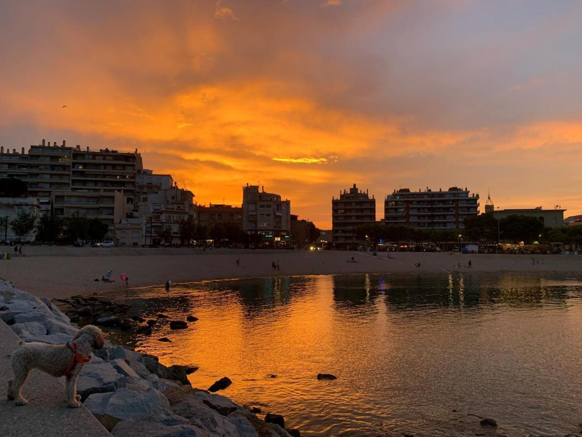 Notaria-Apartamento Y Estudio En Casco Antiguo, Al Lado De Playa, Rambla Y Monasterio, Con Acceso A Terraza Ajardinada Sant Feliu de Guíxols Dış mekan fotoğraf